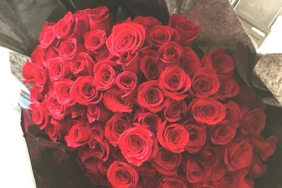 6 loại hoa người vợ sẽ thích nếu được chồng tặng nhân ngày Valentine