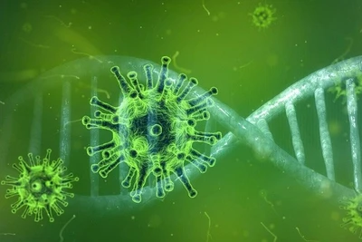 Brazil phát hiện virus chưa từng gặp, Nigeria cảnh báo căn bệnh kỳ lạ