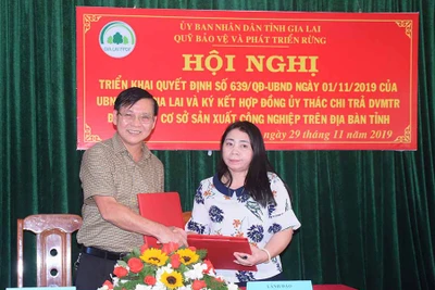 Nỗ lực hoàn thành nguồn thu dịch vụ môi trường rừng trên địa bàn Gia Lai