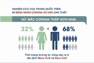 Nội tiết tố nữ là nguyên nhân phụ nữ ít nguy cơ mắc Corona hơn nam