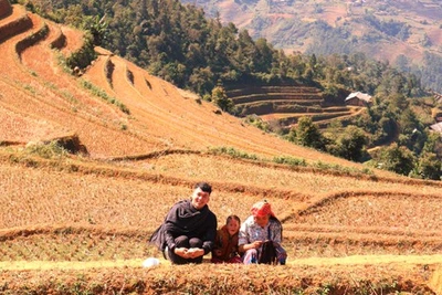 Xu hướng... thích một mình