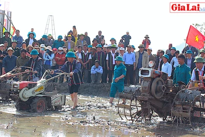 Nông dân làng Vơng Chép lần đầu rộn rã xuống đồng vụ Xuân