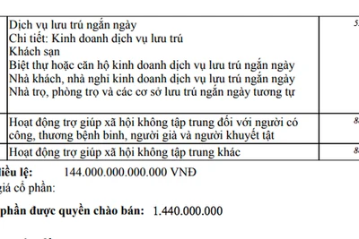 Một doanh nghiệp mới thành lập với vốn "khủng" 144 ngàn tỉ đồng, vượt nhiều "ông lớn"