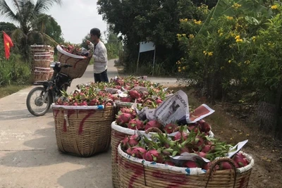 Muộn nhất 2 tuần nữa sẽ phải có cơ chế hỗ trợ khách vay bị thiệt hại do dịch bệnh