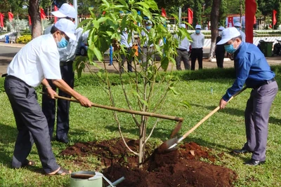 Chư Păh phát động "Trồng cây đời đời nhớ ơn Bác Hồ"