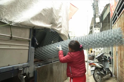 "Không biết cơ quan thống kê xây nhà bằng gì?!"