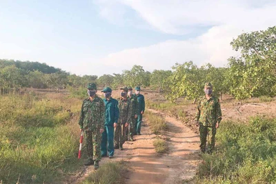 Gia Lai ngăn chặn dịch bệnh xâm nhập qua biên giới