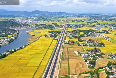 Bình Định: Hăm doạ, thông đồng trong đấu giá đất, Chủ tịch huyện yêu cầu chấn chỉnh