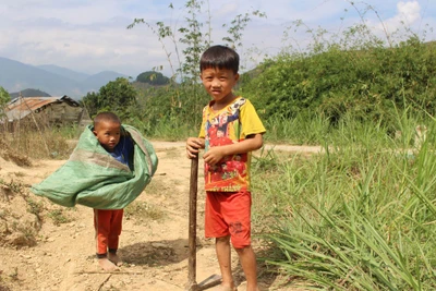 Tuổi thơ nhọc nhằn: Leo đồi núi mưu sinh