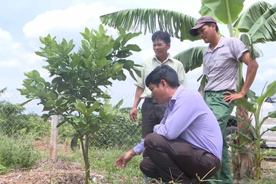 Chung tay vì lợi ích cộng đồng