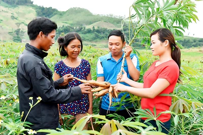 Thế trận lòng dân ở Tây Nguyên-Bài 2 : Hướng về cơ sở