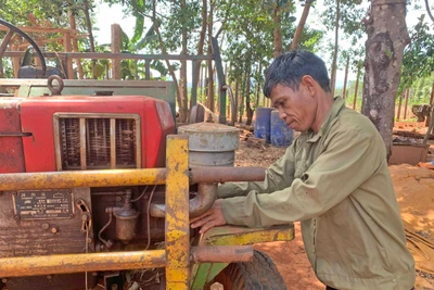 Gầy dựng lại cuộc sống trên mảnh đất quê hương