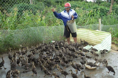 Điểm báo Gia Lai ngày 23-8-2016