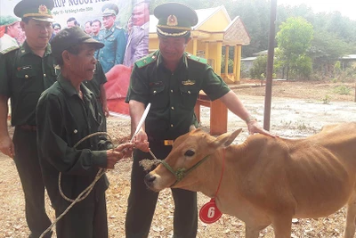 Điểm báo Gia Lai ngày 25-8-2016