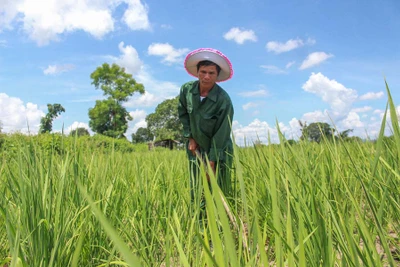 Tháng 8 trên vùng căn cứ cách mạng Chư Krey