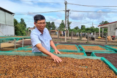 Lão nông làng Hố Lang trở thành tỷ phú nhờ trang trại tổng hợp