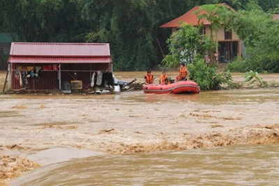 Triển khai các biện pháp sớm khôi phục sản xuất, khắc phục hiệu quả mưa lũ tại các tỉnh miền Trung và Tây Nguyên