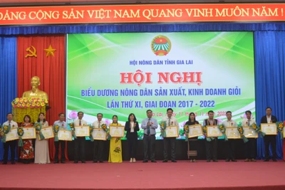 Gia Lai biểu dương 35 tập thể, 136 nông dân sản xuất-kinh doanh giỏi