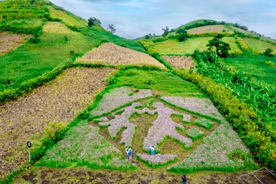 Tạo điều kiện cho nông dân Chư Đang Ya làm du lịch