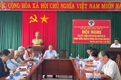 Cụm thi đua số 3 Hội Người cao tuổi Gia Lai tổng kết hoạt động năm 2022