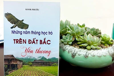 Hồi ức "hạt giống đỏ" trên đất Bắc-Kỳ cuối: Bắc-Nam cùng chung một nhà