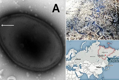 Hồi sinh virus cổ đại 48.500 năm tuổi