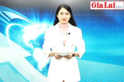 Gia Lai 48h: Nỗ lực hoàn thành các chỉ tiêu phát triển kinh tế-xã hội