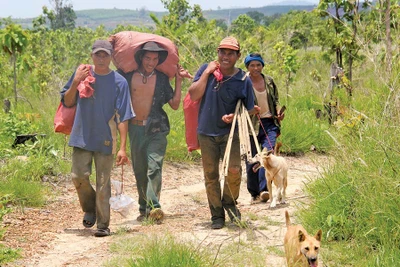 Những chú chó ở Kon Sơ Lăl