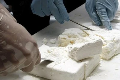 Maroc bắt giữ 541 kg cocaine