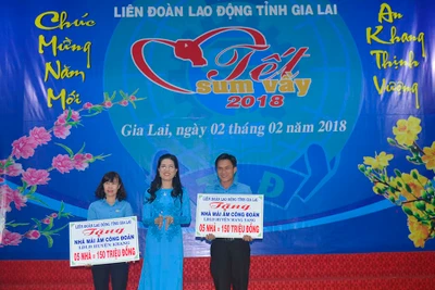 Liên đoàn Lao động tỉnh tổ chức "Tết sum vầy 2018"