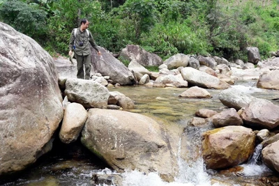 Hành trình tìm loài cá đắng trên dãy Hoàng Liên Sơn