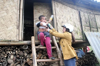 Nhọc nhằn "đi lấy" học sinh... "quên" đường đến lớp