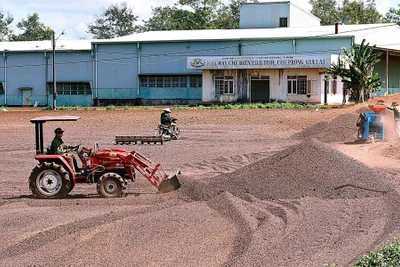 Tái cơ cấu ngành nông nghiệp và xây dựng nông thôn mới