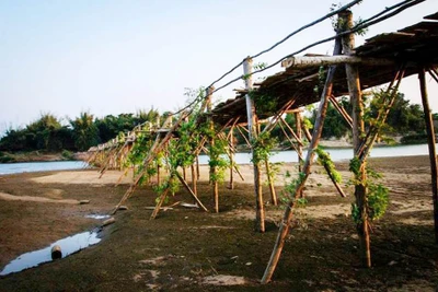 Chênh vênh cầu tạm