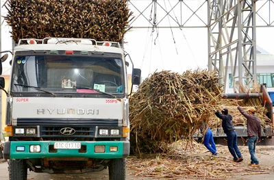 Tuyển gấp lái xe có kinh nghiệm