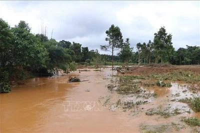 Tập trung đảm bảo an toàn dân cư KV hạ du và CTTĐ Đắk Kar