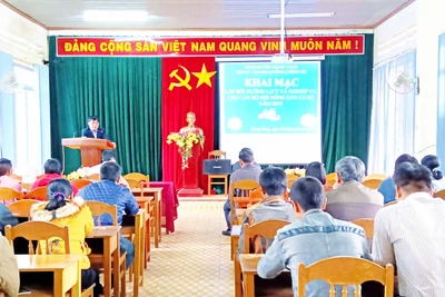 48 học viên tham gia tập huấn công tác Hội Nông dân năm 2019