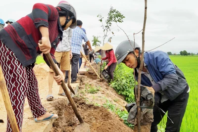 Phú Thiện: Trồng gần 1.000 cây xanh tại lễ phát động trồng cây