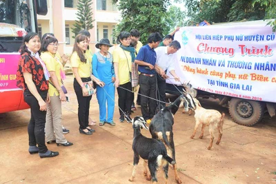 Những phần quà vì phụ nữ biên cương