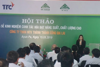 Chia sẻ kinh nghiệm canh tác mía năng suất cao