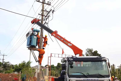 Công ty Điện lực Gia Lai: Bảo đảm an toàn lưới điện