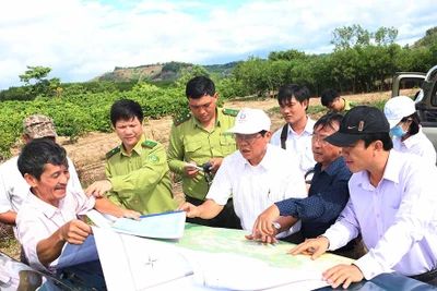 Khảo sát vị trí không thuộc diện tích quy hoạch cho lâm nghiệp huyện Kbang