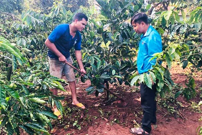 Xây dựng làng thanh niên"2 không 2 có": Cần sự đồng lòng,chung sức