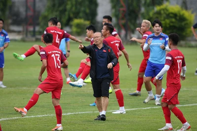 Thầy Park bất ngờ bổ sung tiền đạo cho tuyển Việt Nam