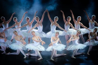 Đẹp ngỡ ngàng vở ballet Hồ Thiên Nga của nghệ sĩ Việt