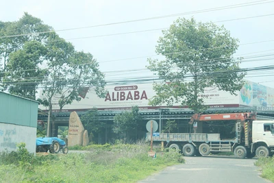 Công an lấy lời khai hàng trăm khách hàng mua đất nền của Alibaba