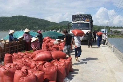 Trăm năm Sa Huỳnh muối mặn