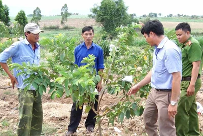 Thành An hướng tới nông thôn mới kiểu mẫu