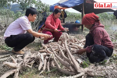 Gia Lai: Nguồn tín dụng chính sách góp phần giảm nghèo bền vững