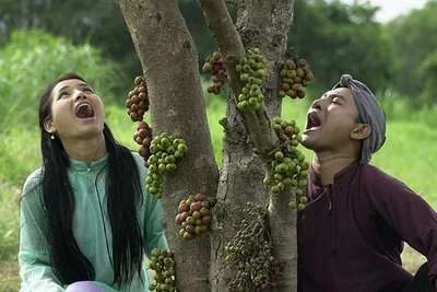 Phương Trinh Jolie vào vai 'gái khôn'